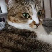 mana