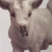 Lの画像