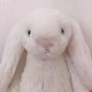 こーぷの画像