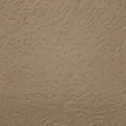 ねこ