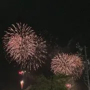 りんごの画像