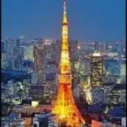 MITTEN SHELF Sアクタス取扱い 未使用 No3 - メルカリ