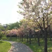 らりるれろ。