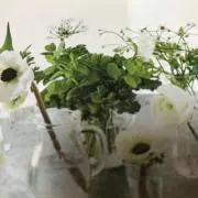 オリブ