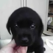 こっちゃんの画像