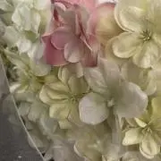 COCOの画像