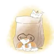 micoの画像