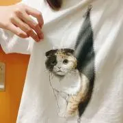 鍾愛の画像