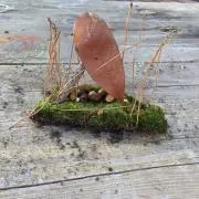 キャンディー