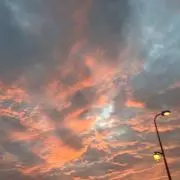 Mの画像