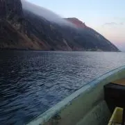 cool 123の画像