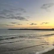 ゆうの画像