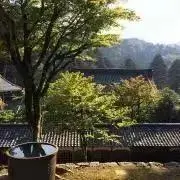 いちの画像