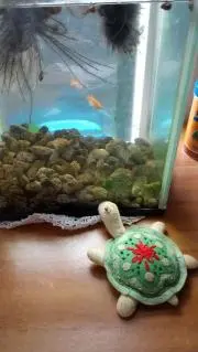 Nrの画像