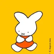 なっぴの画像