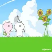 rinの画像