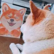 wxdの画像