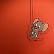 マコの画像