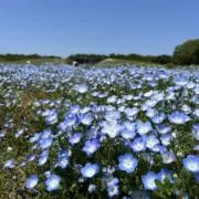 mの画像