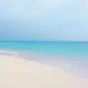 yuuの画像