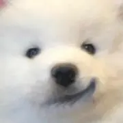 たきたきの画像