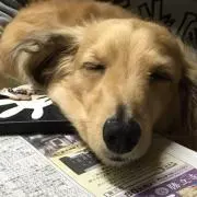 あ