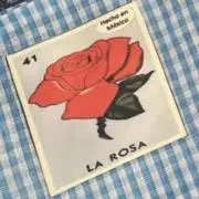 Rosaの画像