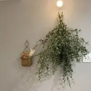 NAHO