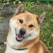 ユズピの画像