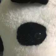 みぃたん