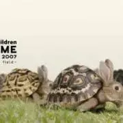 ymの画像
