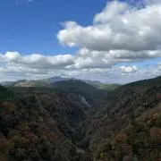 こた★*゜プロフ必読
