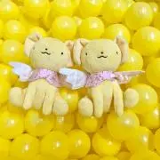 えのきの画像