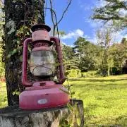 pooh ta-reの画像