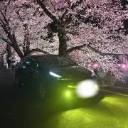 たに