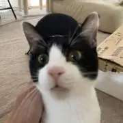 まさやんの画像