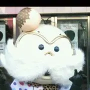 pap papの画像