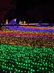 シャンプーの画像
