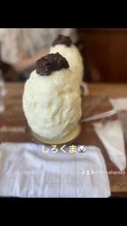 しろくまの画像