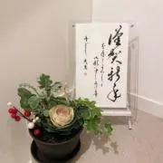 seicaの画像