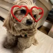 ここなな プロフ必読の画像