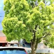 jun1の画像
