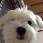 とっと屋の画像