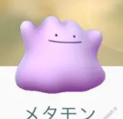 べーちゃんの画像