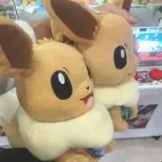 YYYの画像