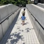 きなこ⭐️24時間以内発送⭐️の画像