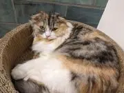 か　【値下げ・バラ売りしてません】の画像