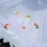 ひよこの画像
