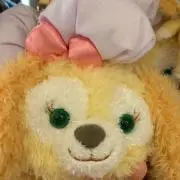 mii☺︎プロフィール必読お願いします！