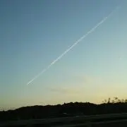 えび